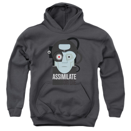 Star Trek The Next Generation Assismilate Or Die - Youth Hoodie Youth Hoodie (Ages 8-12) Star Trek   