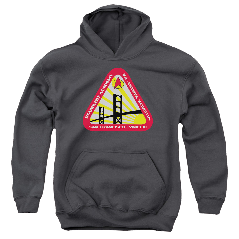 Star Trek The Original Series Starfleet Academy - Youth Hoodie Youth Hoodie (Ages 8-12) Star Trek   