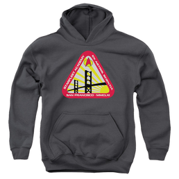 Star Trek The Original Series Starfleet Academy - Youth Hoodie Youth Hoodie (Ages 8-12) Star Trek   