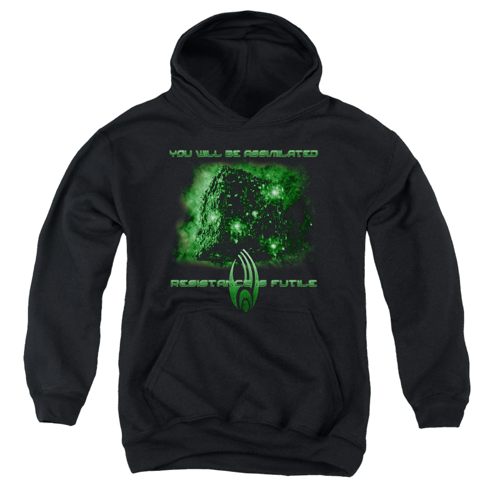 Star Trek The Next Generation Assimilate - Youth Hoodie Youth Hoodie (Ages 8-12) Star Trek   