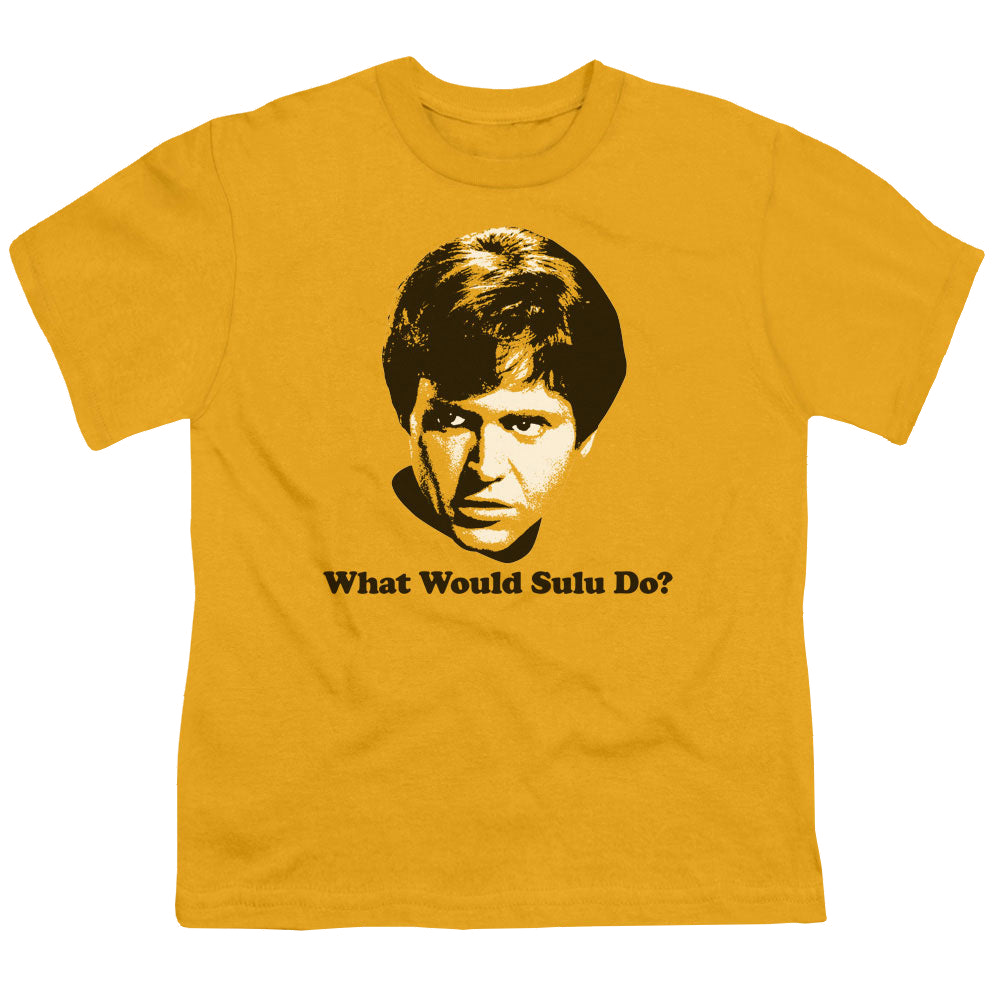 Star Trek The Original Series What Would Sulu Do - Youth T-Shirt Youth T-Shirt (Ages 8-12) Star Trek   