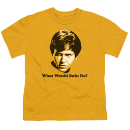 Star Trek The Original Series What Would Sulu Do - Youth T-Shirt Youth T-Shirt (Ages 8-12) Star Trek   