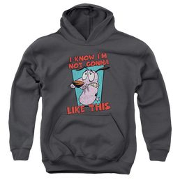 Courage the Cowardly Dog Not Gonna Like - Youth Hoodie Youth Hoodie (Ages 8-12) Courage the Cowardly Dog   