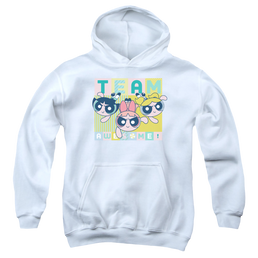 Powerpuff Girls Awesome Block - Youth Hoodie Youth Hoodie (Ages 8-12) Powerpuff Girls   