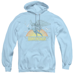 More Dc Characters Hawkwoman - Pullover Hoodie Pullover Hoodie DC Comics   
