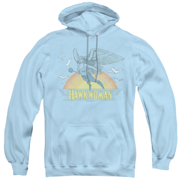 More Dc Characters Hawkwoman - Pullover Hoodie Pullover Hoodie DC Comics   