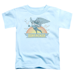 More DC Characters Hawkwoman - Toddler T-Shirt Toddler T-Shirt DC Comics   