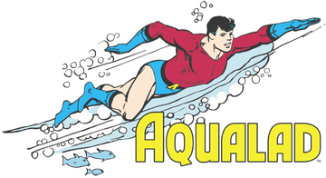 DC Comics Aqualad - Pullover Hoodie Pullover Hoodie DC Comics   