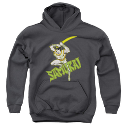 More DC Characters Samurai - Youth Hoodie Youth Hoodie (Ages 8-12) DC Comics   