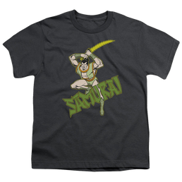 More DC Characters Samurai - Youth T-Shirt Youth T-Shirt (Ages 8-12) DC Comics   