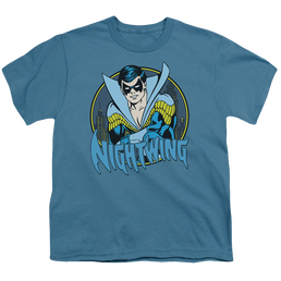 Nightwing Nightwing - Youth T-Shirt Youth T-Shirt (Ages 8-12) Nightwing   