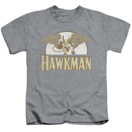 Hawkman Fly By - Kid's T-Shirt Kid's T-Shirt (Ages 4-7) Hawkman   