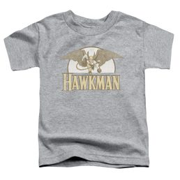Hawkman Fly By - Toddler T-Shirt Toddler T-Shirt Hawkman   