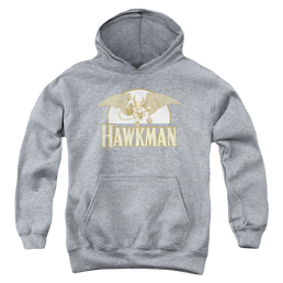Hawkman Fly By - Youth Hoodie Youth Hoodie (Ages 8-12) Hawkman   