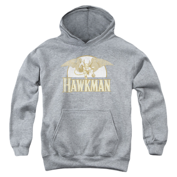 Athletic heather youth hoodie for ages 8 to 12 with Hawkman Fly By graphic