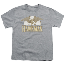 Hawkman Fly By - Youth T-Shirt Youth T-Shirt (Ages 8-12) Hawkman   