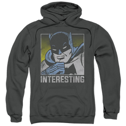DC Comics Interesting - Pullover Hoodie Pullover Hoodie DC Comics   