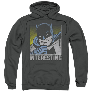 DC Comics Interesting - Pullover Hoodie Pullover Hoodie DC Comics   