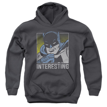 DC Batman Interesting - Youth Hoodie Youth Hoodie (Ages 8-12) Batman   