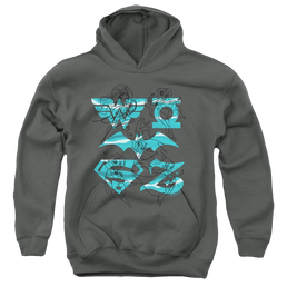 Dc Super Hero Girls Line Art Group - Youth Hoodie Youth Hoodie (Ages 8-12) DC Comics   
