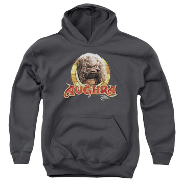 Charcoal youth hoodie for ages 8 to 12 with Dark Crystal Aughra Circle graphic