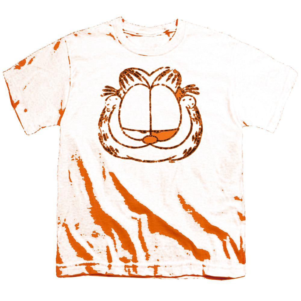Garfield Smirking Distressed - Youth T-Shirt (Ages 8-12) Youth T-Shirt (Ages 8-12) Garfield   