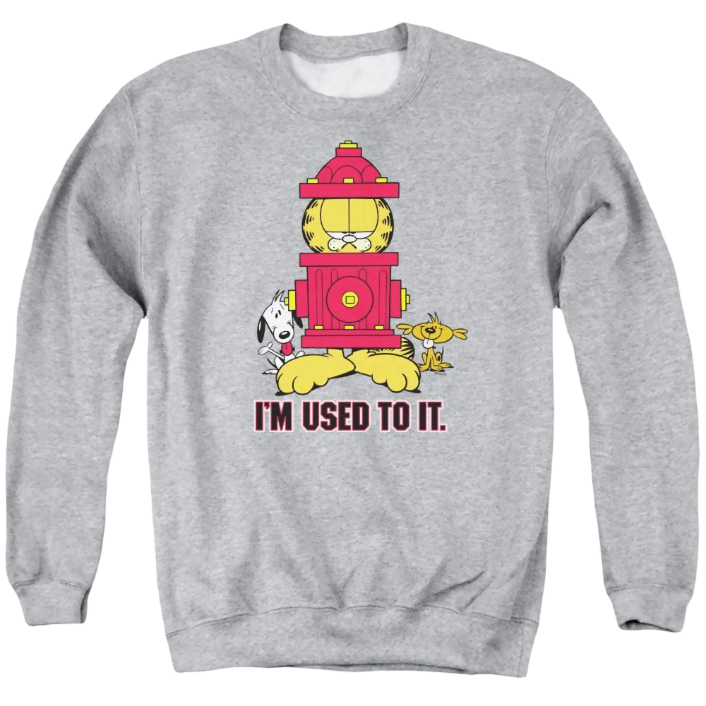 Garfield I'm Used To It - Men's Crewneck Sweatshirt Men's Crewneck Sweatshirt Garfield   