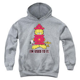 Garfield Im Used To It - Youth Hoodie (Ages 8-12) Youth Hoodie (Ages 8-12) Garfield   