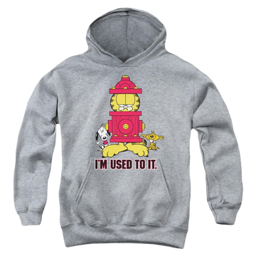 Athletic heather youth hoodie for ages 8 to 12 with Garfield Im Used To It graphic
