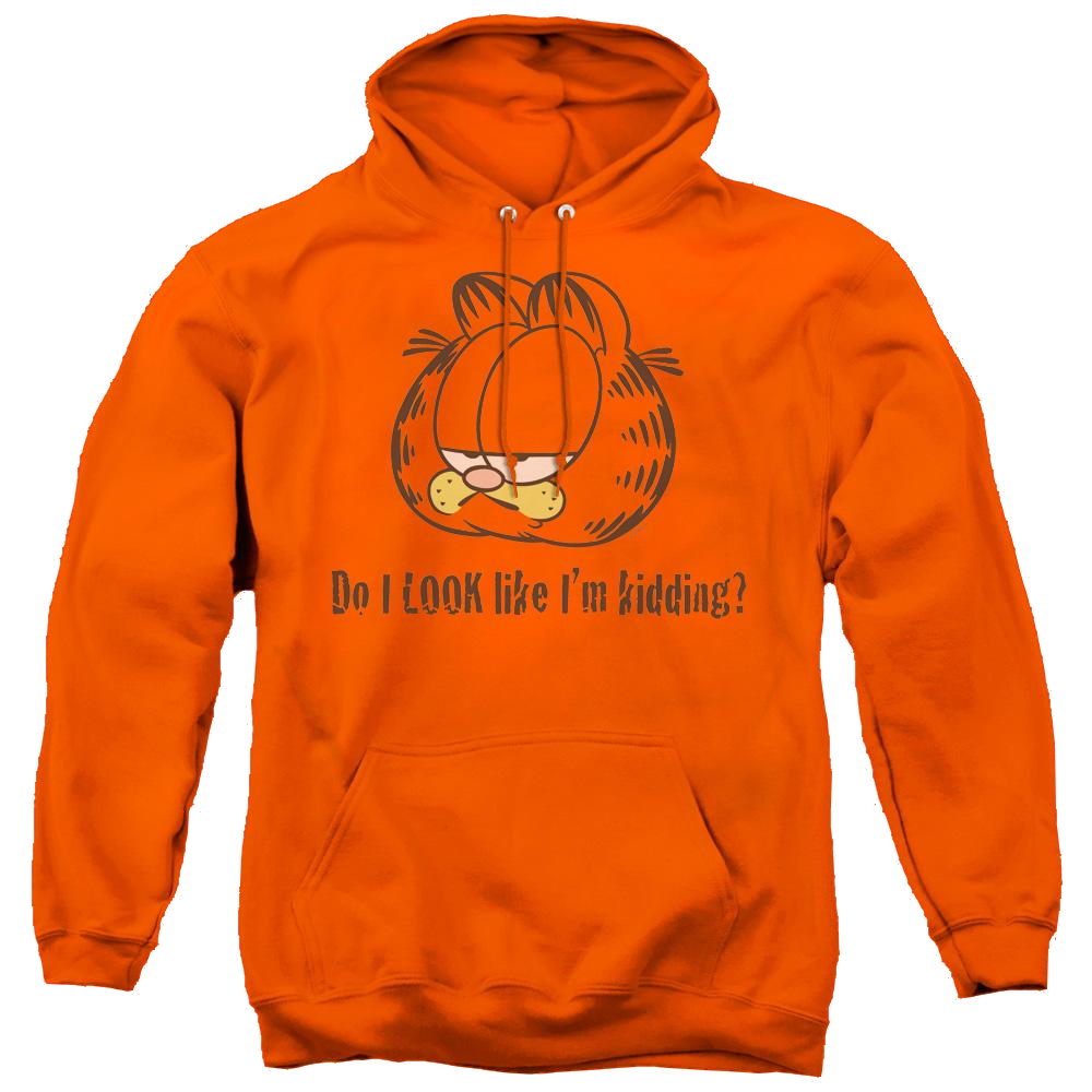 Garfield Do I Look Like Im Kidding - Pullover Hoodie Pullover Hoodie Garfield   