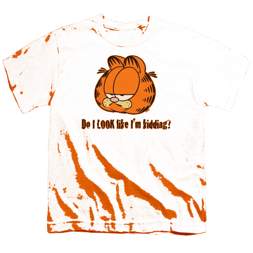 Garfield Do I Look Like Im Kidding - Youth T-Shirt (Ages 8-12) Youth T-Shirt (Ages 8-12) Garfield   