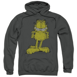Garfield Big Ol' Cat - Pullover Hoodie Pullover Hoodie Garfield   