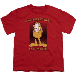 Garfield I Didnt Do It - Youth T-Shirt (Ages 8-12) Youth T-Shirt (Ages 8-12) Garfield   