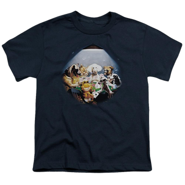 Navy youth t-shirt for ages 8 to 12 with Garfield Playing With The Big Dogs graphic