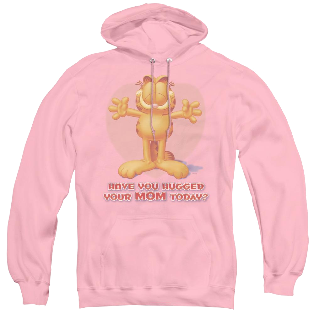 Garfield Have You - Pullover Hoodie Pullover Hoodie Garfield   