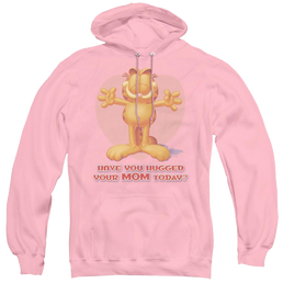 Garfield Have You - Pullover Hoodie Pullover Hoodie Garfield   