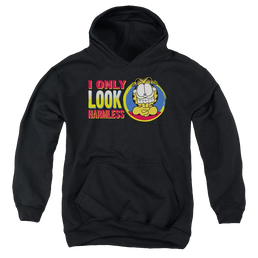Garfield I Only Look Harmless - Youth Hoodie (Ages 8-12) Youth Hoodie (Ages 8-12) Garfield   