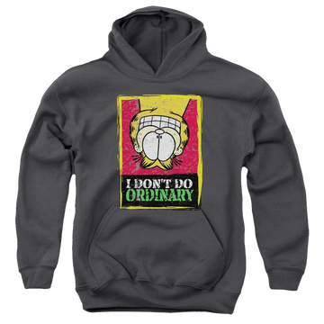 Charcoal youth hoodie for ages 8 to 12 with Garfield I Dont Do Ordinary graphic