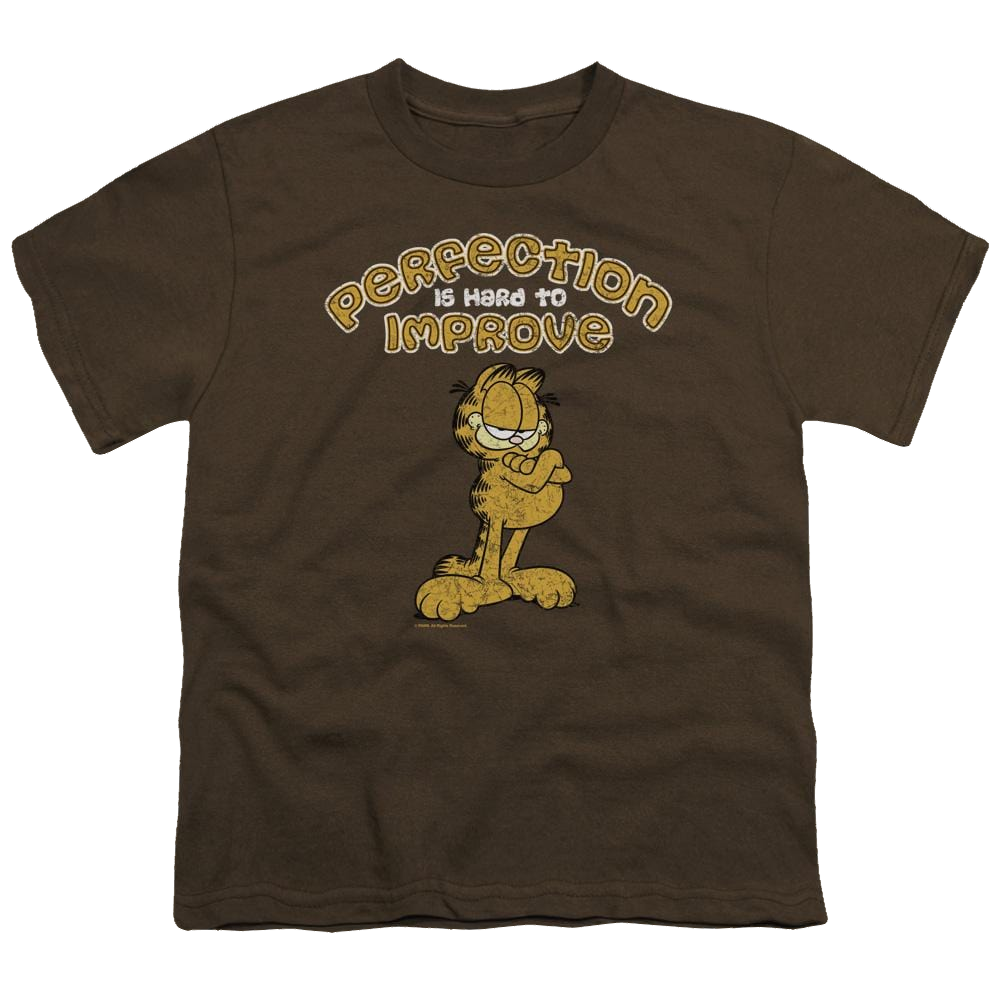 Garfield Perfect - Youth T-Shirt (Ages 8-12) Youth T-Shirt (Ages 8-12) Garfield   