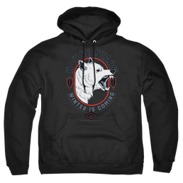 Game of Thrones House Stark Winter Is Coming - Pullover Hoodie Pullover Hoodie Game of Thrones   