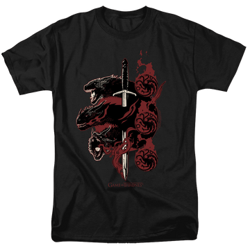 Black men's regular fit t-shirt with Game of Thrones Targaryen Dragons graphic