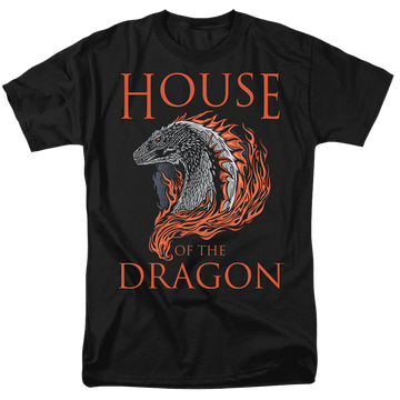 Black men's regular fit t-shirt with House of the Dragon Hod Dragon Illustration graphic