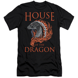 House of the Dragon Hod Dragon Illustration - Men's Premium Slim Fit T-Shirt Men's Premium Slim Fit T-Shirt House of the Dragon   