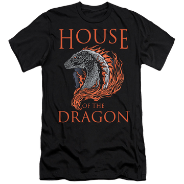 Black men's premium slim fit t-shirt with House of the Dragon Hod Dragon Illustration graphic