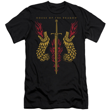 Black men's premium slim fit t-shirt with House of the Dragon Sword And Dragon Heads graphic