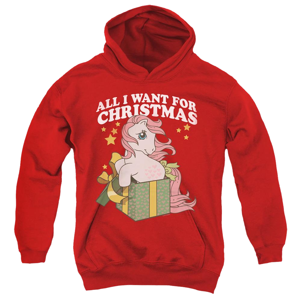 My Little Pony Classic All I Want - Youth Hoodie Youth Hoodie (Ages 8-12) My Little Pony   