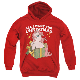 My Little Pony Classic All I Want - Youth Hoodie Youth Hoodie (Ages 8-12) My Little Pony   