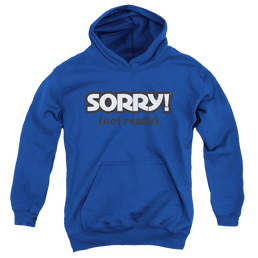 Game of Sorry Not Really - Youth Hoodie Youth Hoodie (Ages 8-12) Sorry   