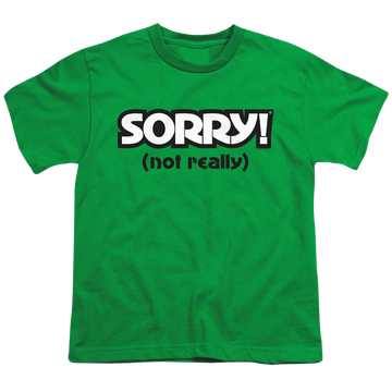 Kelly green youth t-shirt for ages 8 to 12 with Game of Sorry Not Really graphic