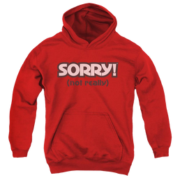 Game of Sorry Not Really - Youth Hoodie Youth Hoodie (Ages 8-12) Sorry   